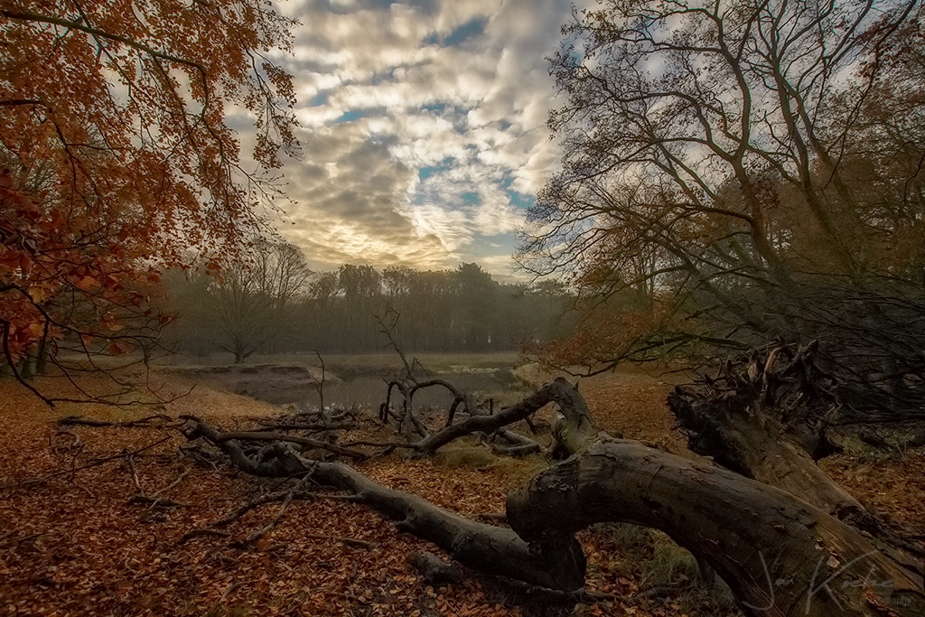 Herfst 2019 continued….