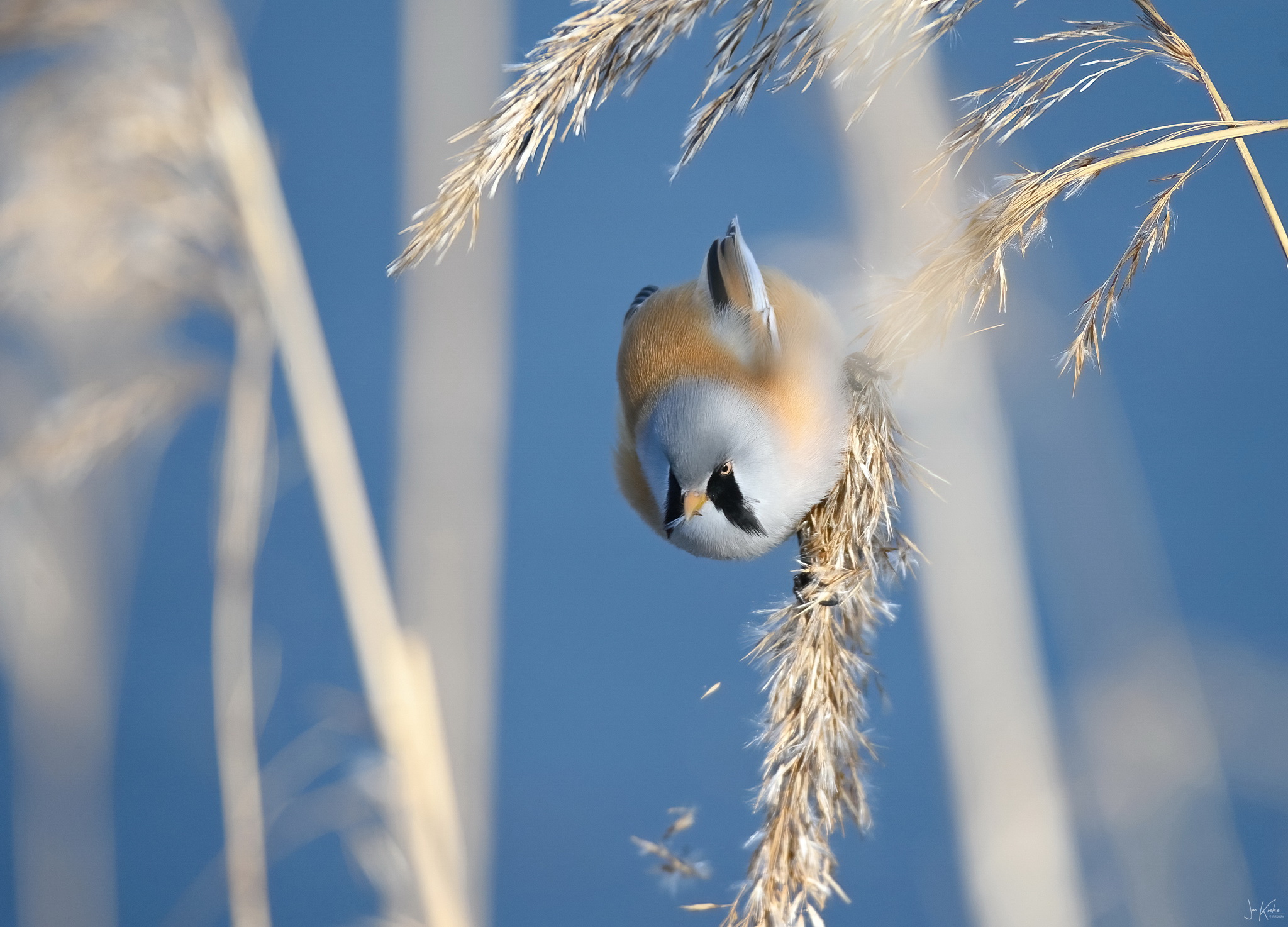 Zeven dagen, zeven foto’s…..