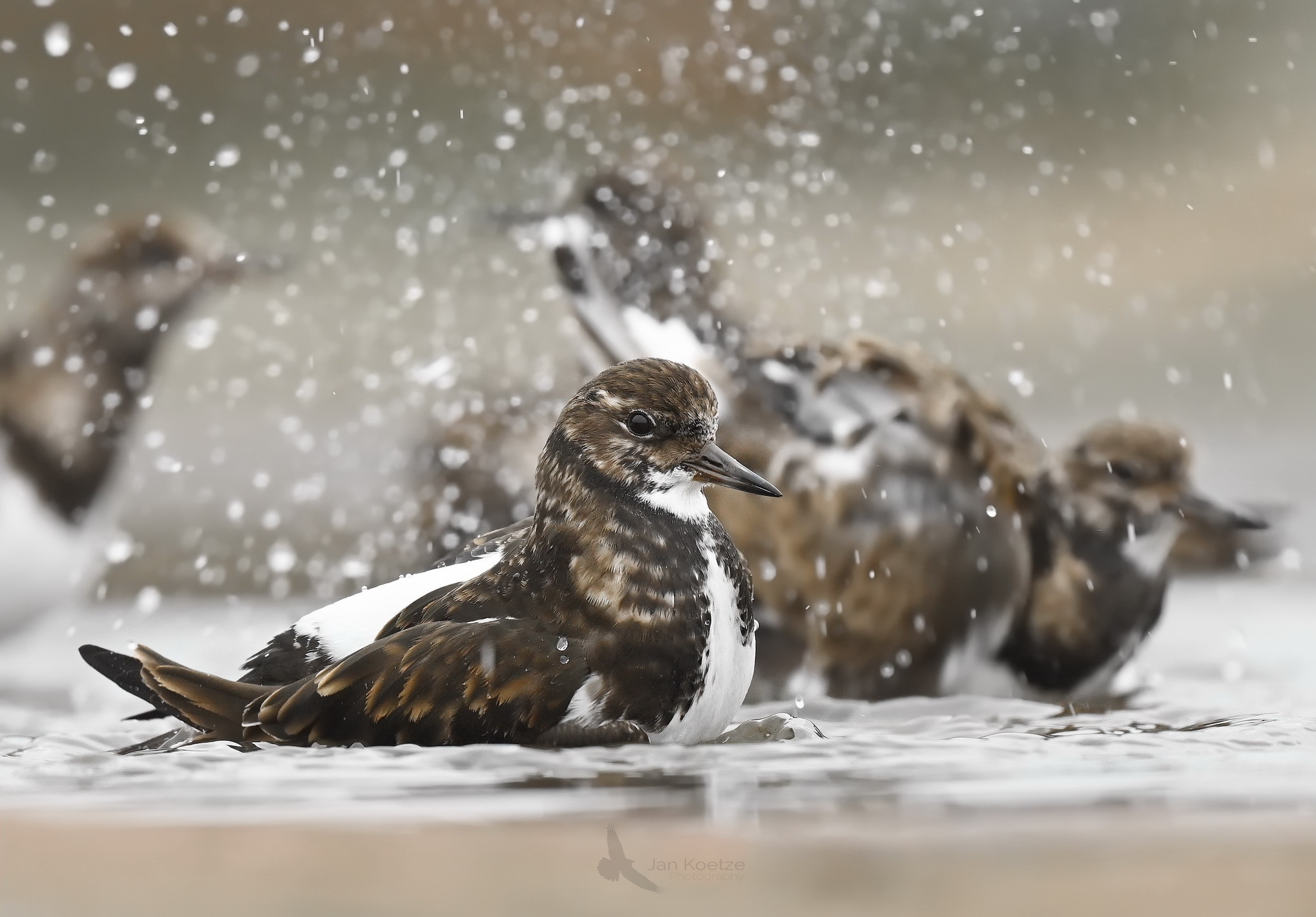 Splish splash, I was taking a bath.