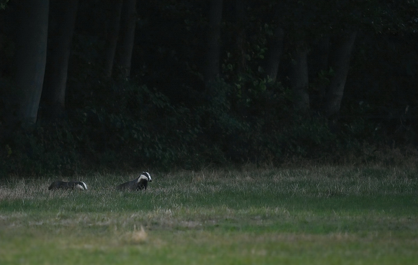 Das ook wat….