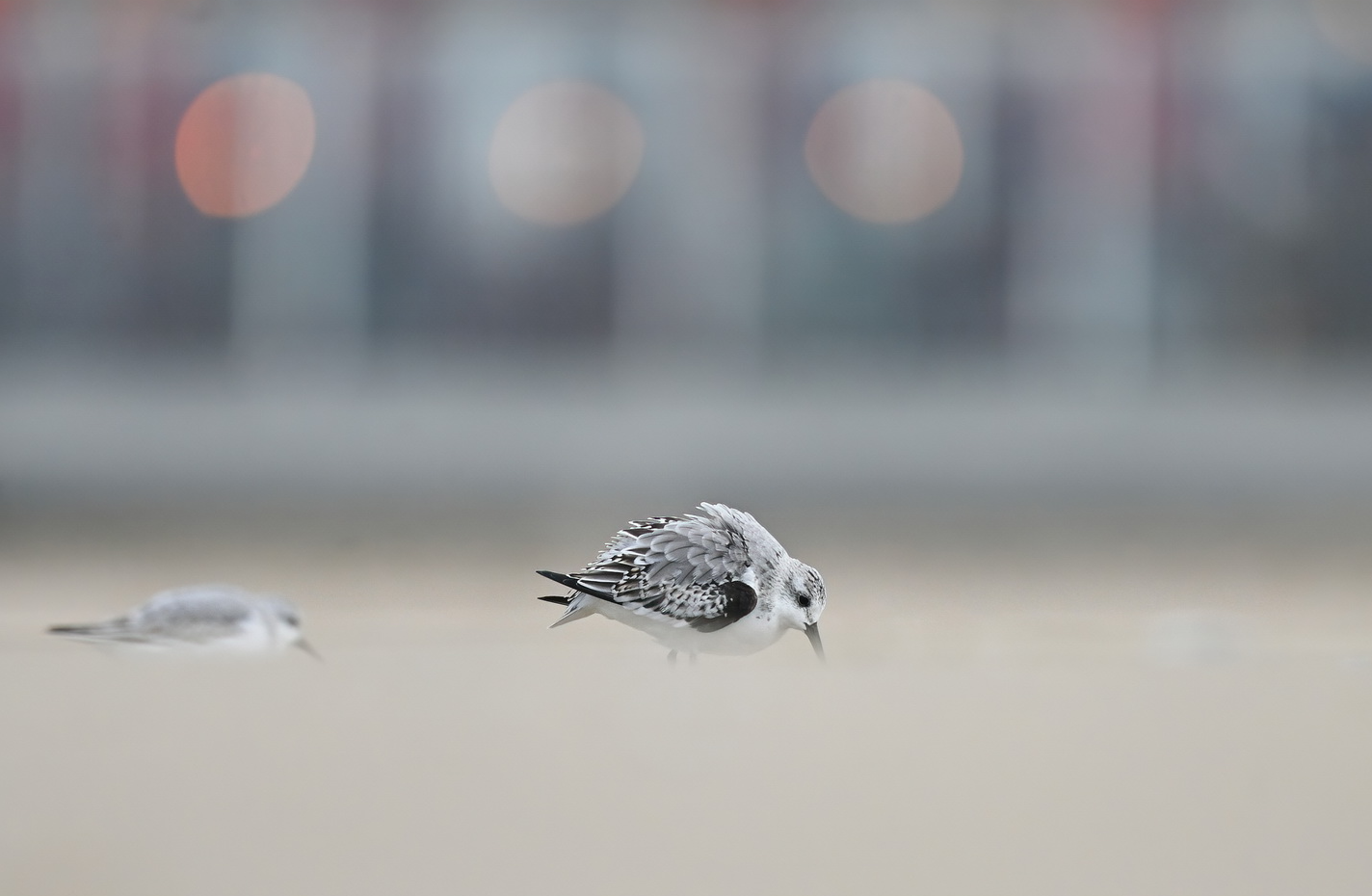 Zandsuppletie oftewel zand opspuiten…