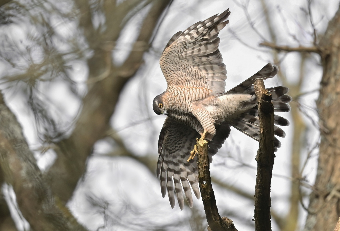 Windkracht 6…