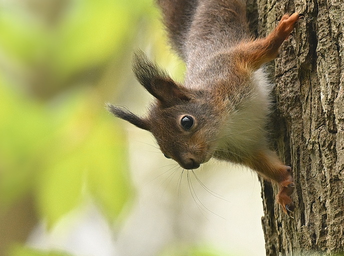 Cuteness overload…