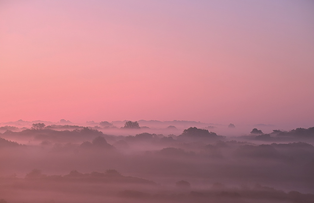 Morgenstond gedoe…