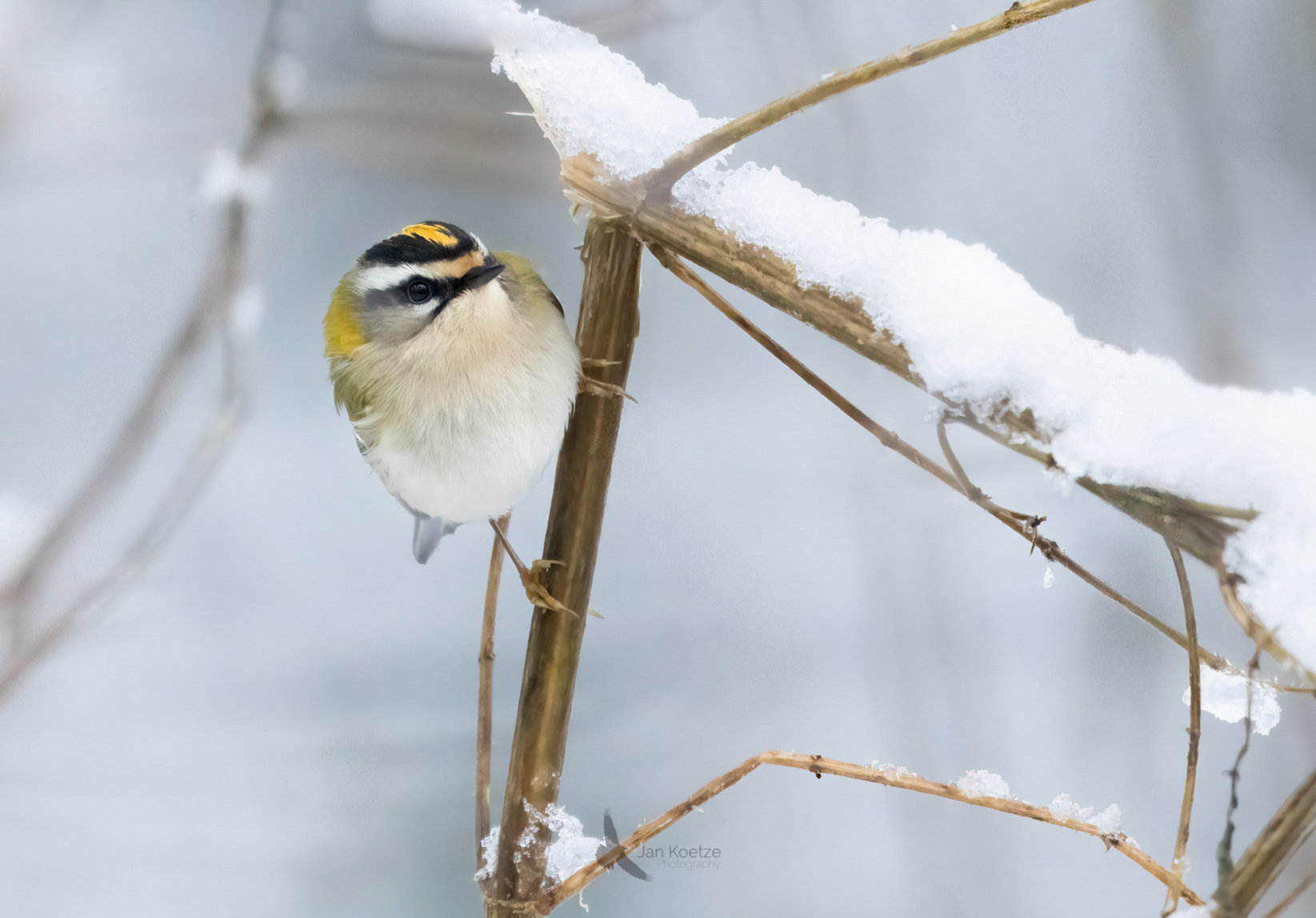 Winter…